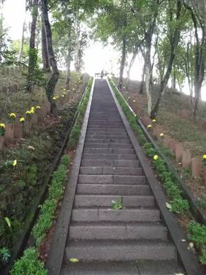 WeChat Image_20190712131413.jpg